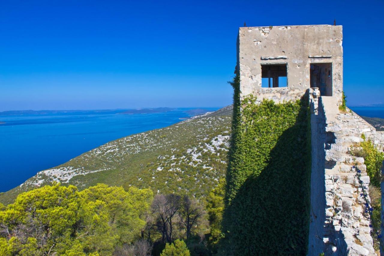 Studio Apartment In Preko With Sea View, Terrace, Air Conditioning, Wi-Fi Exterior photo